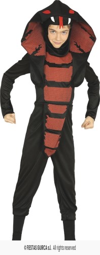 Strój Dziecięcy Ninja Wąż
