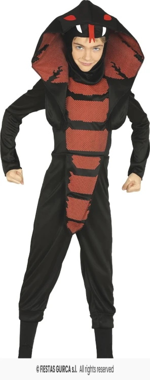 Strój Dziecięcy Ninja Wąż