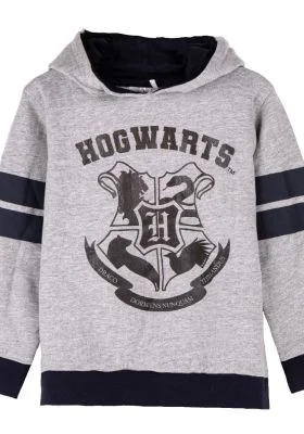 Bluza Harry Potter