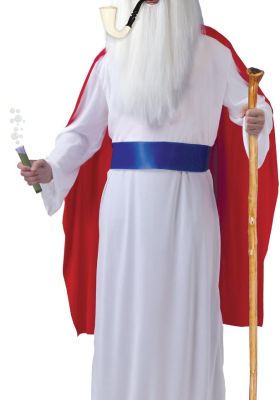 Strój Druida