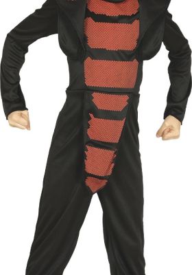 Strój Dziecięcy Ninja Wąż
